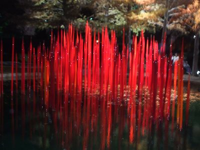 Chihuly 2012 (09).JPG